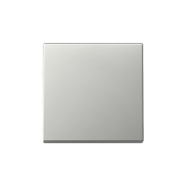 Gira Wippe Edelstahl 3296600